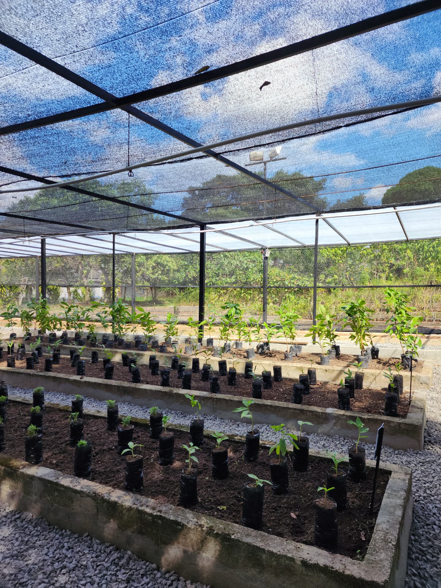 Hortinha — campus Parque das Laranjeiras
